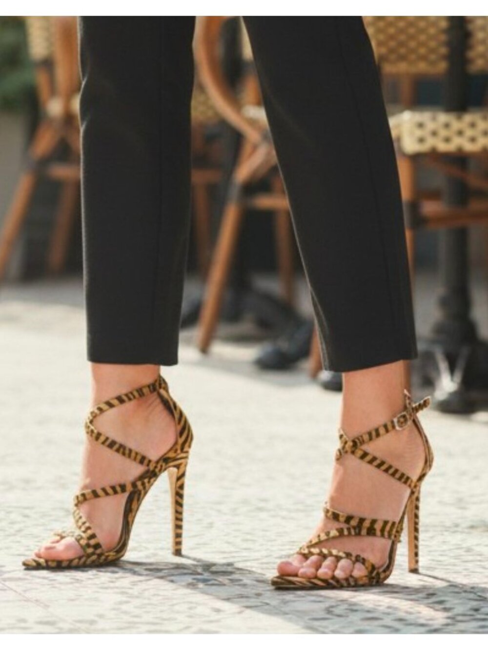 Zebra Print Strappy Stiletto High Heels With Adjustable Buckle Closure Bold Desi